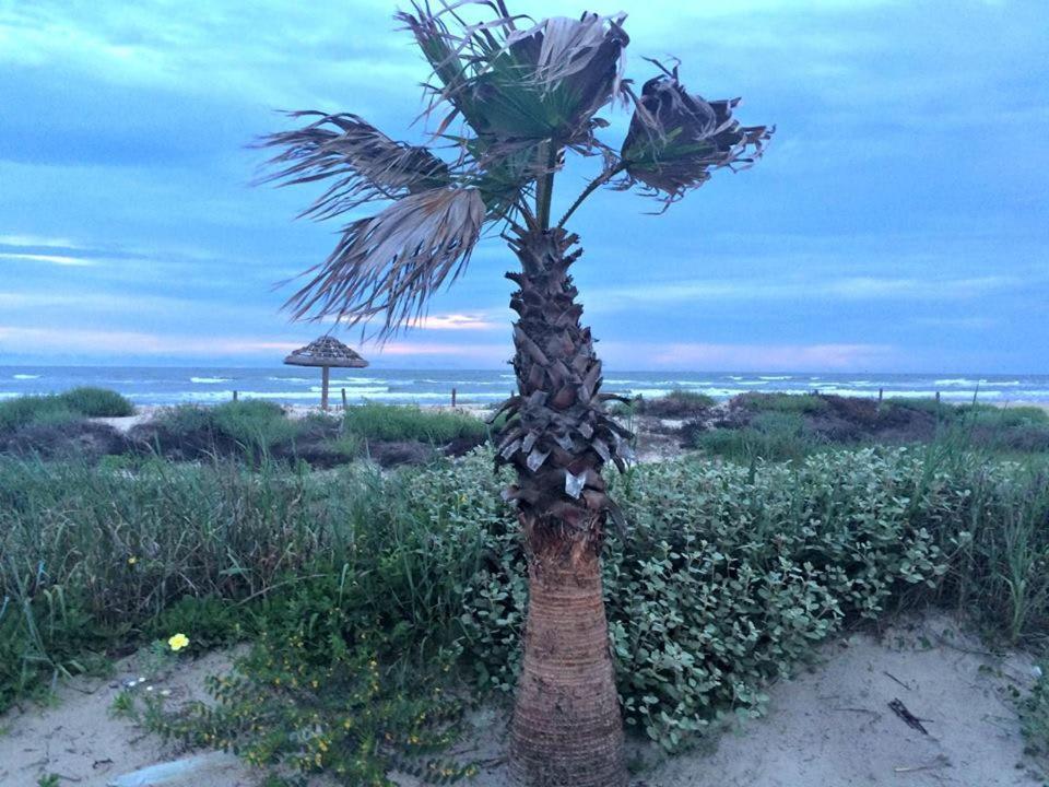 Unobstructed Oceanfront Sea Turtle Unit 2 Beach Pad! 瑟夫赛德海滩 外观 照片